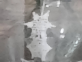 20200317_152646