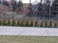 IMG20200322141552