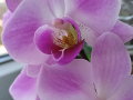 IMG20200401095546