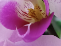 IMG20200401095549
