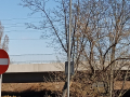 IMG20200401132626