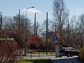 IMG20200401132750
