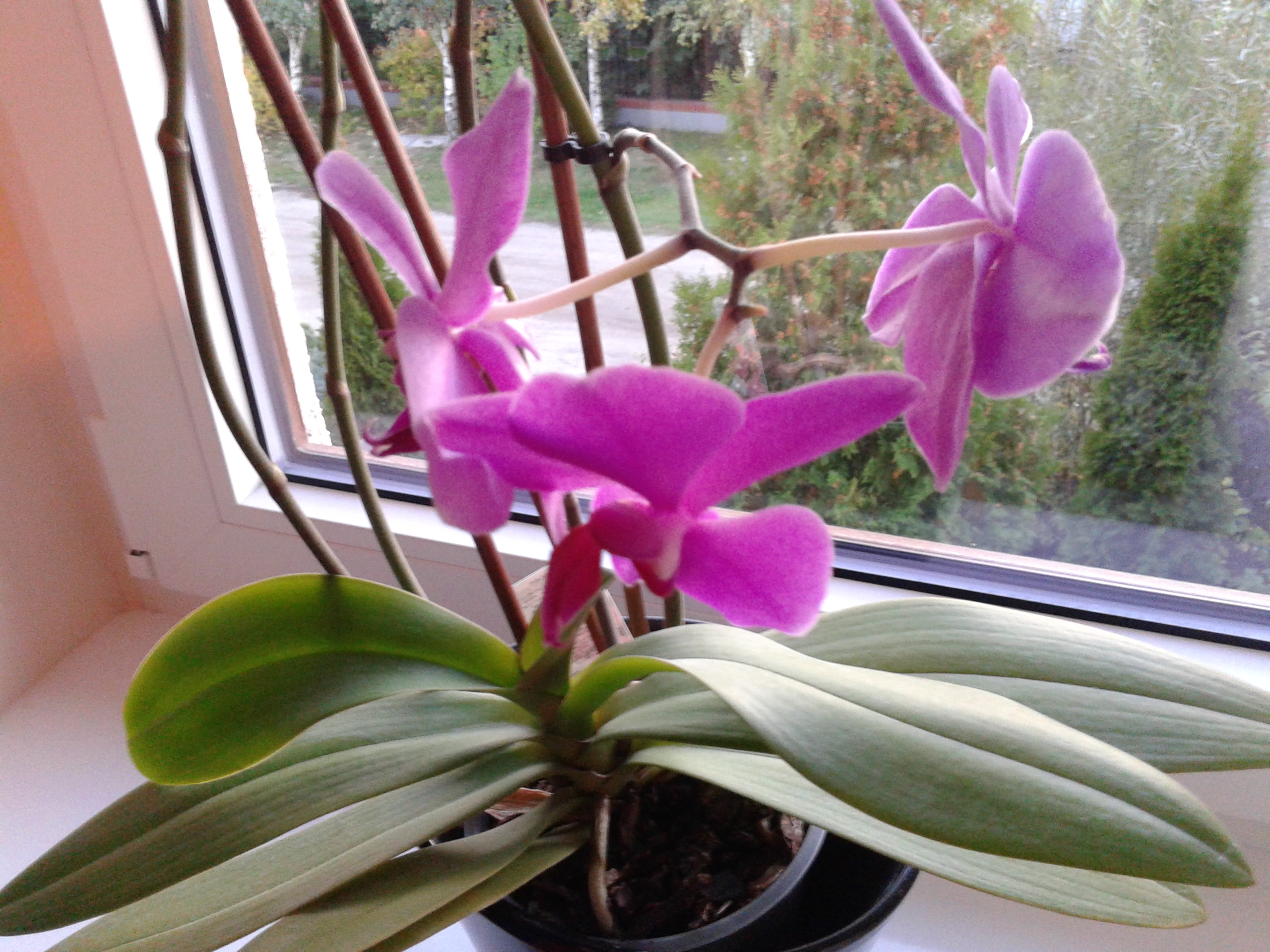 20130930_182903 image